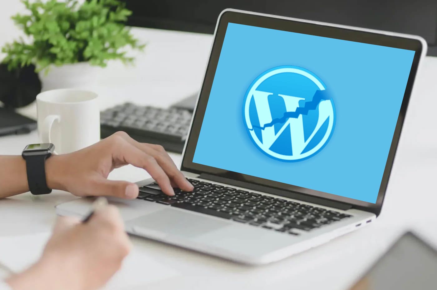 Problème de connexion WordPress
